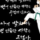 태권도(성인반) 이미지