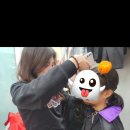 국가대표 한류스타태권도장 이미지