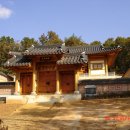 사당 Daum카페