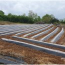 연홍농장 이미지