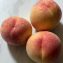 장택농장 | 복숭아 칼로리, 라엘농장 황도 복숭아 효능도 좋아요