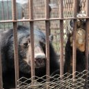 금지농장 이미지