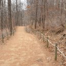 멍굴멍굴 이미지