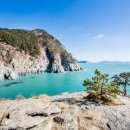 동백바다 이미지