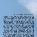 윤영28