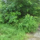 일양주유소 이미지