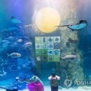 아쿠아리스트