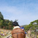용인로뎀파크수목장 근처 한식맛집, 자연의밥 로송