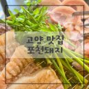 포천금돼지 이미지