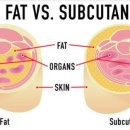 신갈한의원 이미지