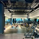 하운드짐 이미지