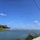 만수로 | 경주단체맛집 감포 바다 앞! 푸짐하고 신선한 한상차림 만수로회센터 후기