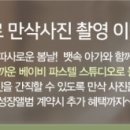 이벤트헤어 이미지