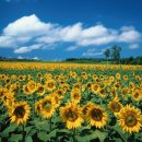 E&S 행정사 사무소 이미지