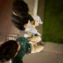 리가스퀘어빌딩 | 나홀로 여행 DAY4, 5🇺🇸 (Gott’s 버거 후기, 고트 버거 후기, 샌프란시스코 빵 맛집 추천, 애플 스토어)