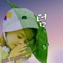 지행이네 이미지