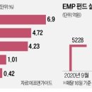 분산투자 끝판왕 - EMP펀드 이미지