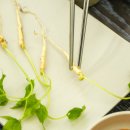 다복소프트 이미지