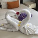 Hotel 174 | 코사무이 가성비 숙소 후기 4박 5일 머문 차웽 빌라위 솔직 리뷰