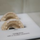 미라클치과기공소 이미지