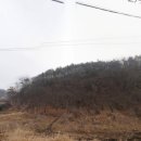 정안면사무소2 이미지