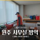 원주 사무실 방역 업체 꼼꼼한 해충 관리 후기