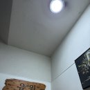 압구정] 고품질 한우 암소만 취급하는, 마장동 유원미트코리아에서 운영하는 강남 고깃집 솔직후기 : 유원