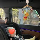 타요봐요직구 | 브라이텍스 로머 롬머 카시트 Babyshop 직구 방법 및 가격 (듀얼픽스 프로 스타일)