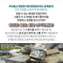 영앤영성형외과의원 네이버블로그