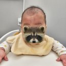 (주)이노야드 | [두상교정] 6개월 아기 사두증 교정 이노야드 수원 교정헬멧 한달차 후기