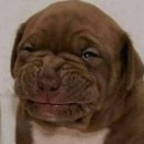 우림헤어샵 | {중국 웨이하이 2박3일} 위고몰에서 염색네일메이크업받기, 행복문 환취루 한러펑 보긴 봄