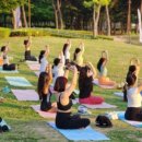 (상반기)발레핏 이미지