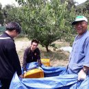 마태농장2 이미지