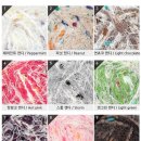 통소프트 이미지