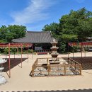 용연사 티스토리