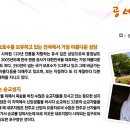 공세리성지성당 박물관 이미지