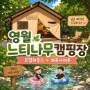 드림하우스 | 영월 느티나무캠핑장 두 번째 방문｜드림하우스+계곡 사이트 솔직 후기