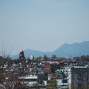 삼천포종합시장 이미지