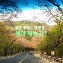월드홍익선원 네이버블로그