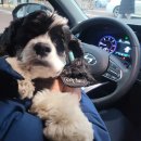 행복나루터2 이미지