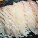 한림포차2 이미지