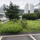 거제변전소 | 관공서 예초·조경 시공 후기｜부산 대연동 변전소 깔끔한 관리 사례(예초명가 ***-****-****)