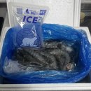 [충남 태안 해담수산마켓] 내돈내산 | 왕새우 | 꽃게 | 태안-서산 왕새우 | 왕새우 직판장