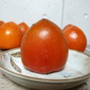 상덕농장 이미지