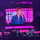 진해공설운동장 야구장 | 진해 군항제 (feat.체리블라썸 뮤직 페스티벌) 다녀온 후기