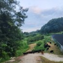 오복건강원 이미지