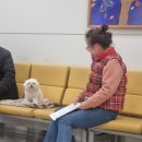 일상 신혼밥상 히든피겨스 폭싹속았수다후기 스포일러o