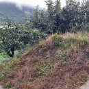 세림농장 이미지