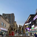 서유식당 | [우루무치 8박 9일 근교 여행] 투루판에서 먹은 잊지 못할 1등 요리 '浙家餐厅(절가식당)' 해산물찜