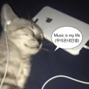 헌삥